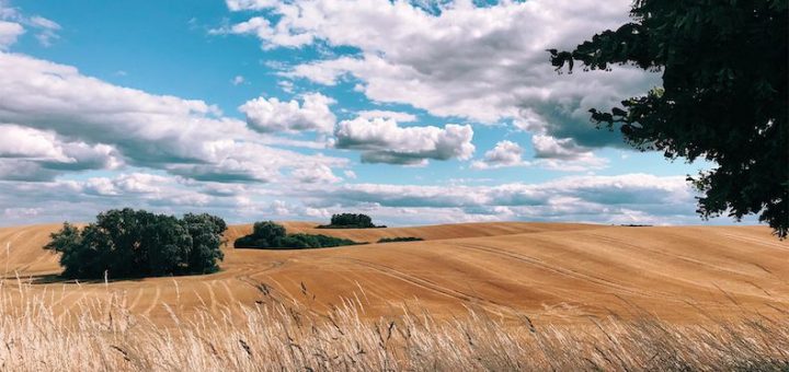 iphone, 2019, ShotoniPhone - 2019