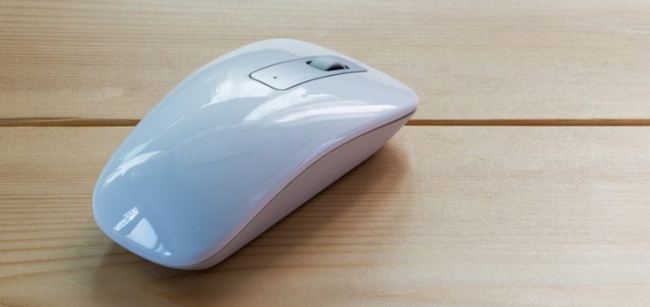 Mishka, scroller, 7 neshta