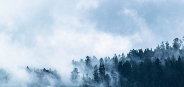 wallpapers, 2019