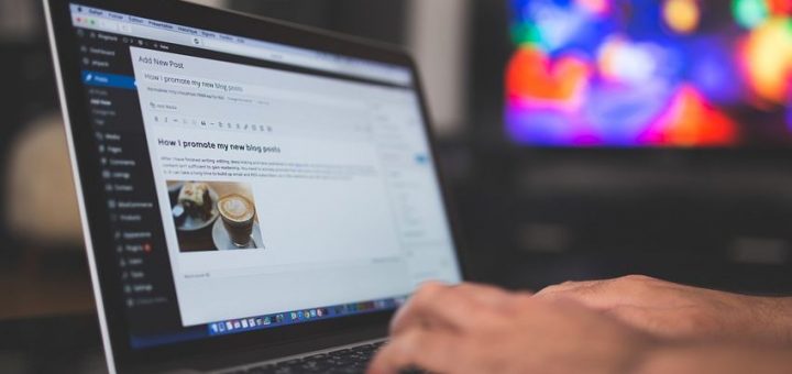 wordpress, tema