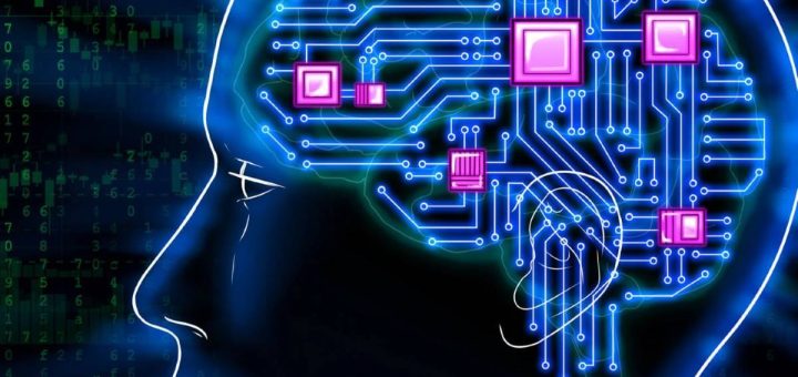 izkustven intelekt meta