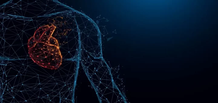 sarce izkustven intelekt