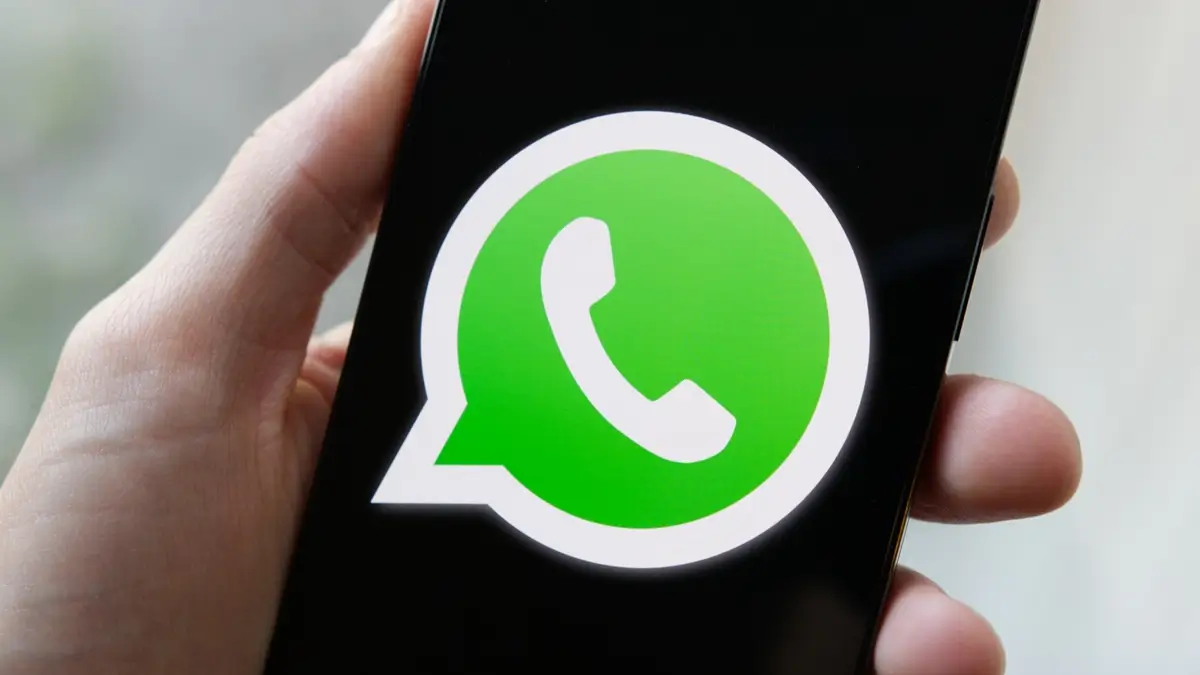 whatsapp data na rajdane