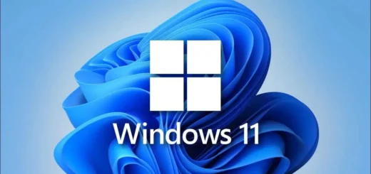 srina se sled aktualizatsia na windows 11