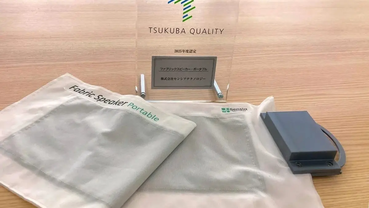 fabric speaker portable