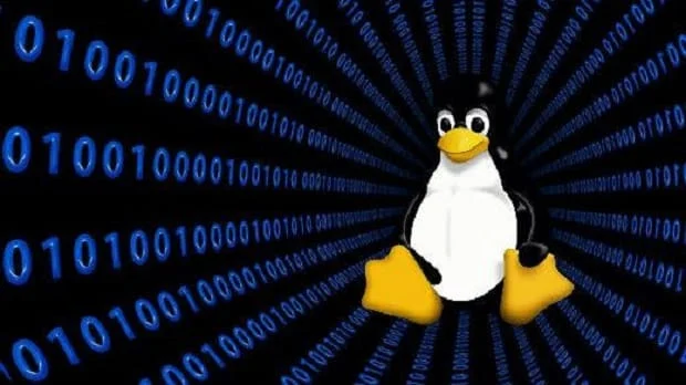 linux, system, 2019