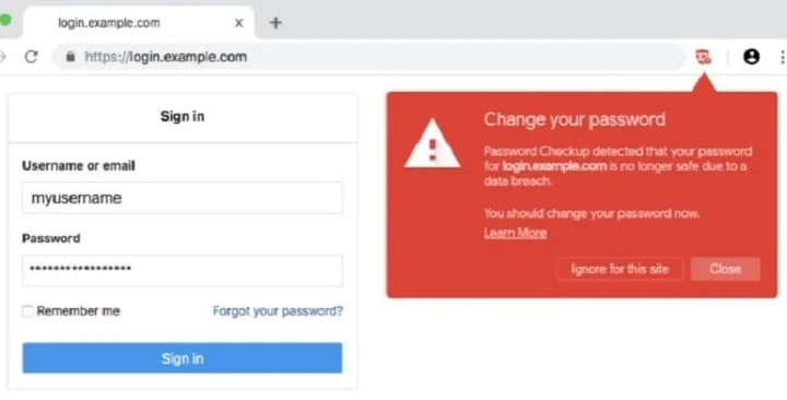 google,password,checkup
