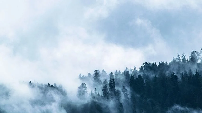 wallpapers, 2019