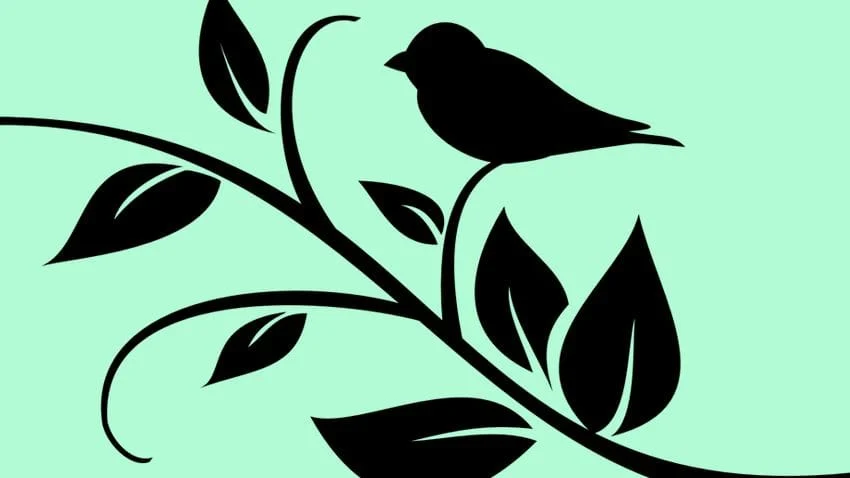 twitter,tweet,saveti
