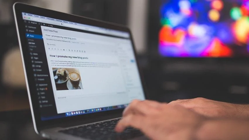 wordpress, tema