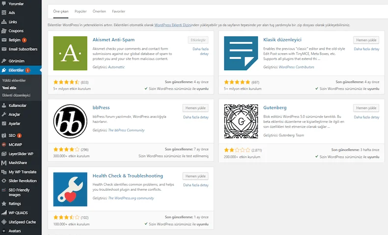 wordpress site 2