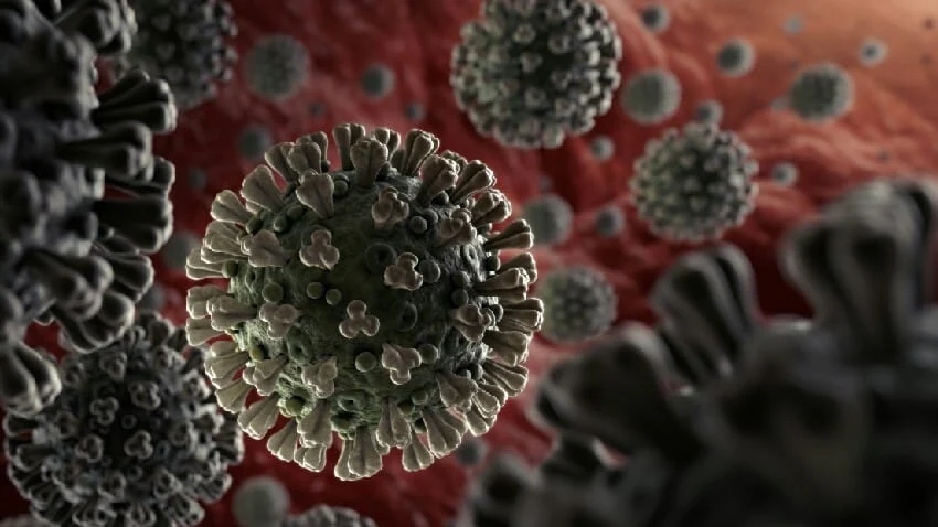 corona virus 2020