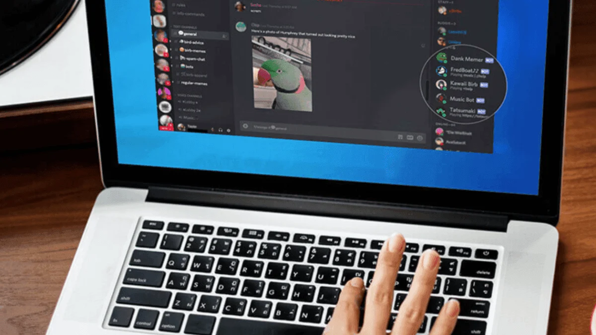 discord bot muzika