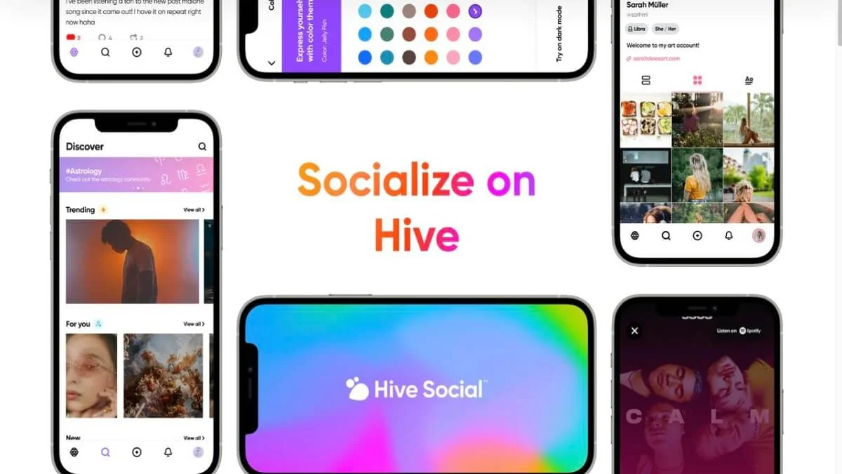 hive socialize