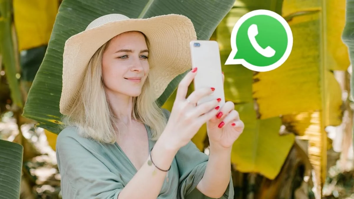 whatsapp glasov zapis
