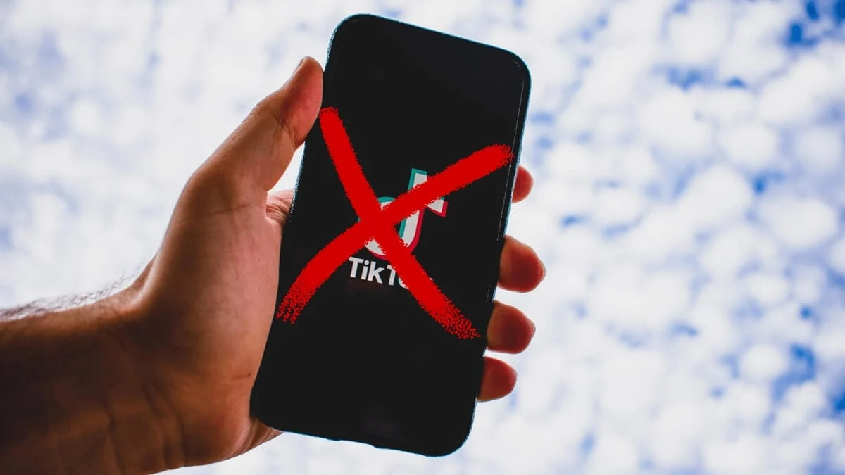 tiktok turtsia